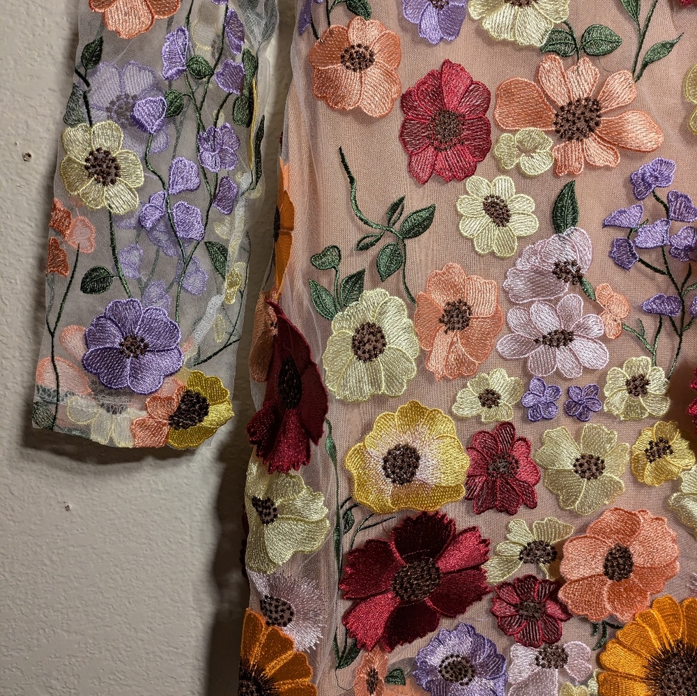 Lena Vie Boutique Floral Embroidered Sheer Dress Size Small - Picture 3 of 12